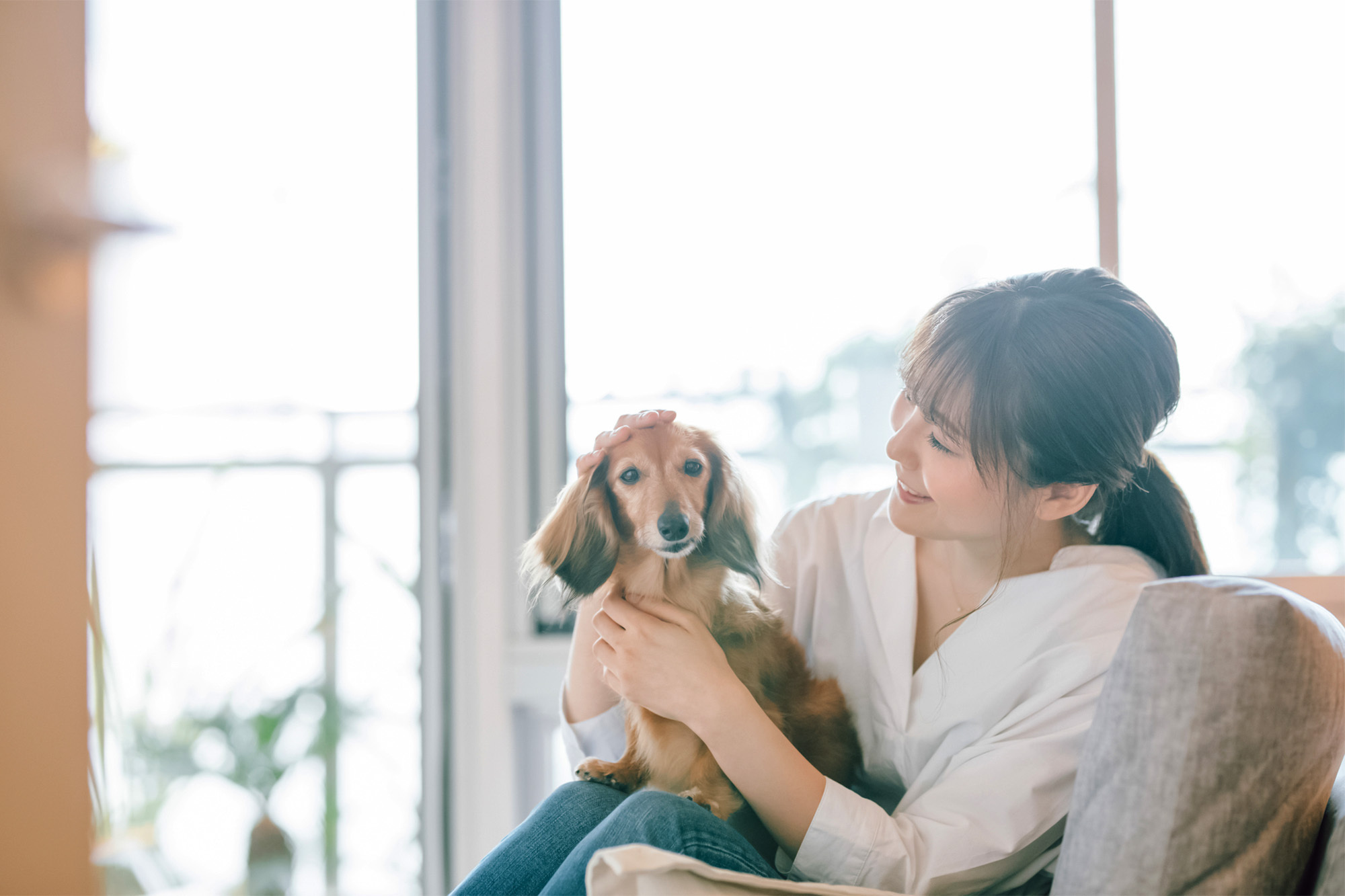 写真：犬